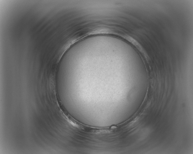 X0000062871337200601271546