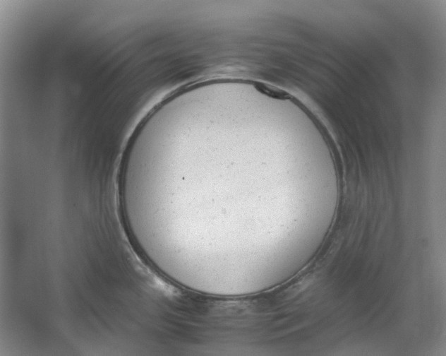 X0000062871341200601271546