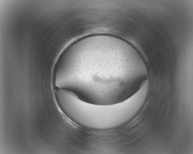 X0000062871342200601271546