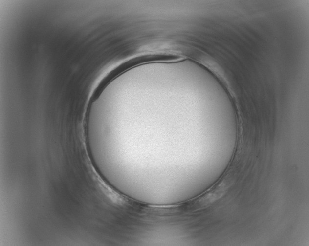 X0000062871344200601271546