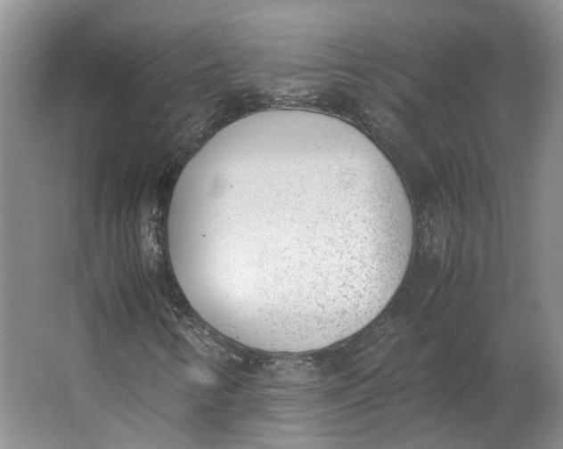 X0000062871346200601271545