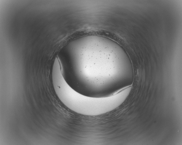 X0000062871348200601271545