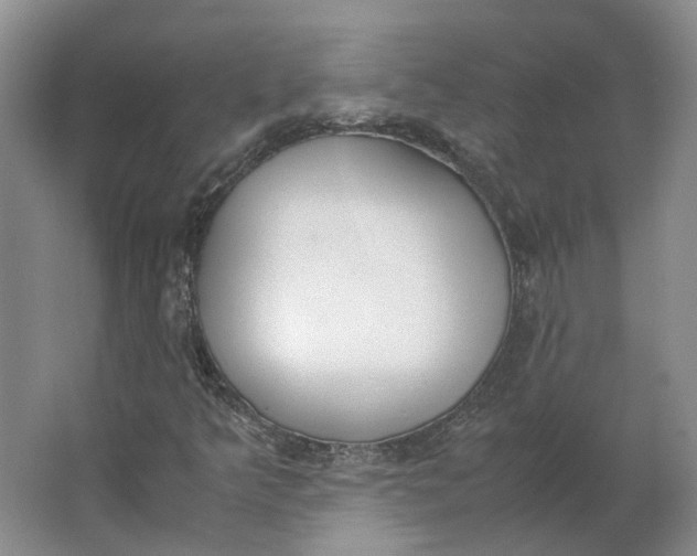 X0000062871349200601271545