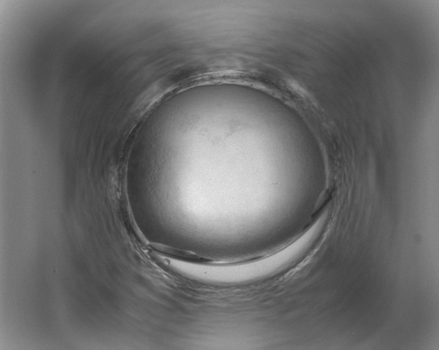 X0000062871353200601271545