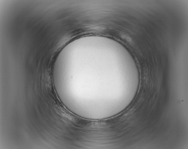 X0000062871354200601271545