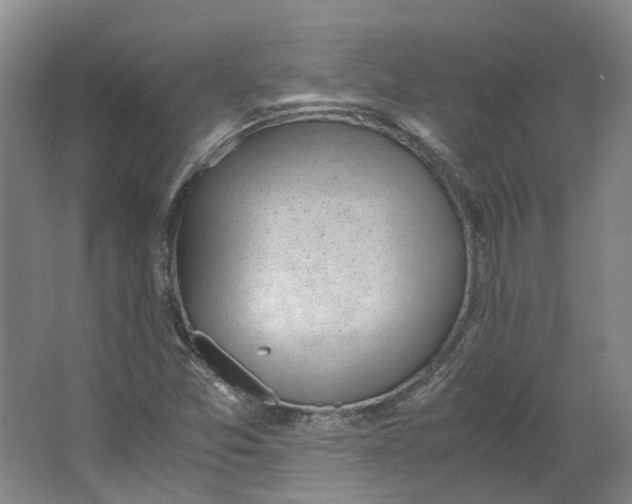 X0000062871357200601271545