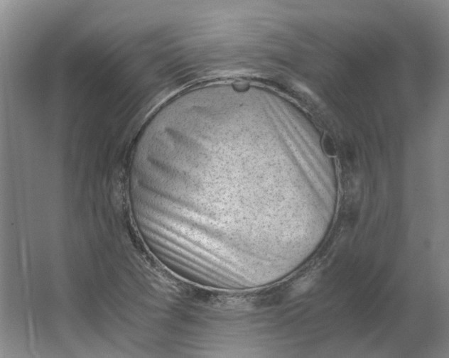 X0000062871361200601271545