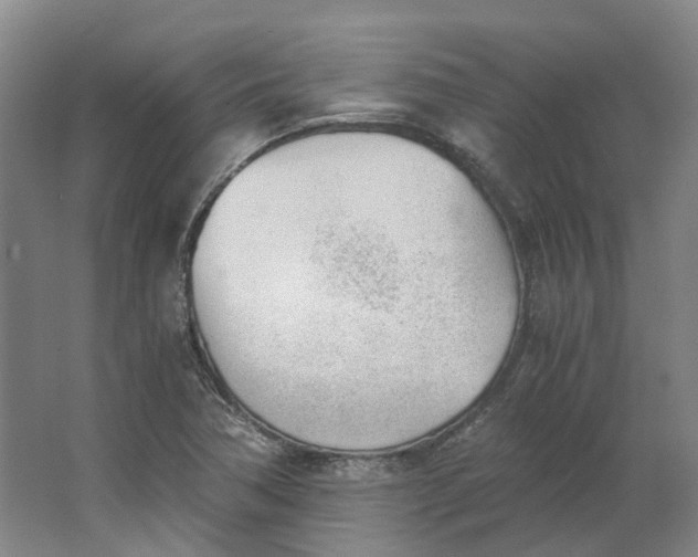 X0000062871362200601271545