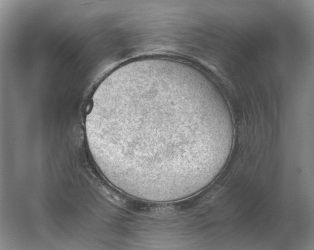 X0000062871363200601271545