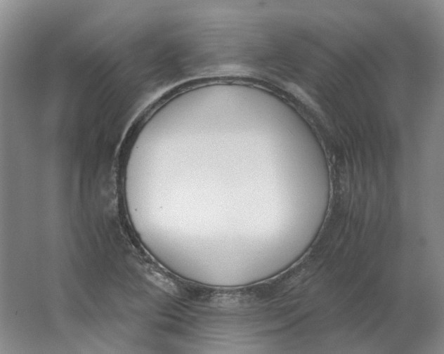 X0000062871364200601271545