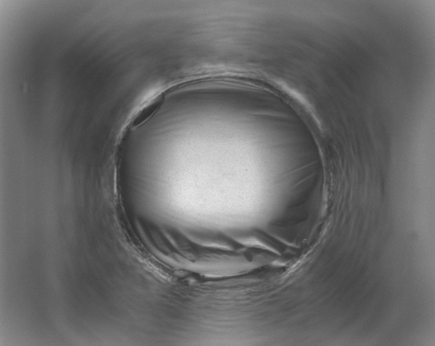 X0000062871365200601271545