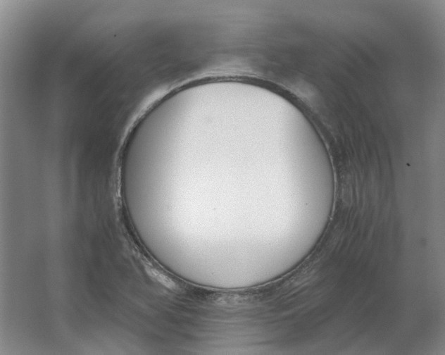 X0000062871366200601271545