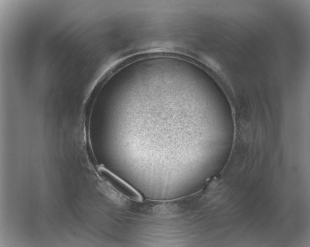 X0000062871368200601271545