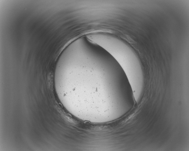 X0000062871369200601271545