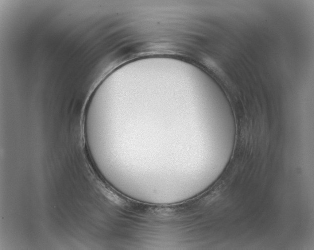 X0000062871370200601271545