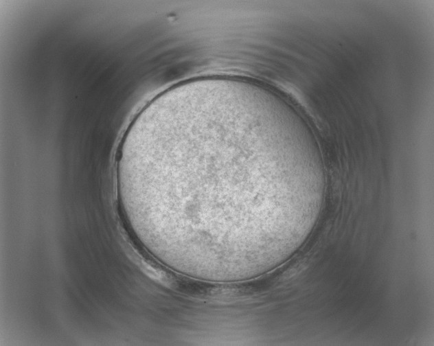 X0000062871371200601271545