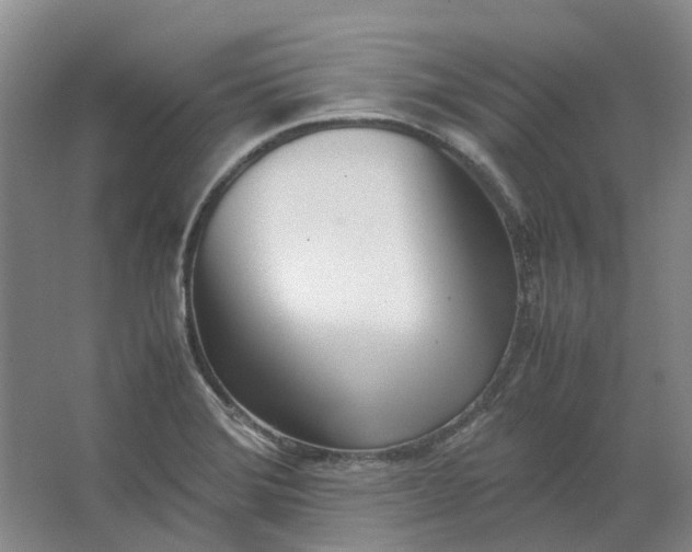 X0000062871372200601271545