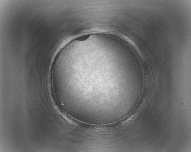 X0000062871373200601271545