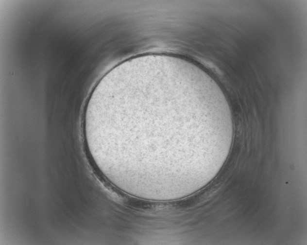 X0000062871375200601271545