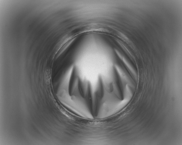 X0000062871377200601271545