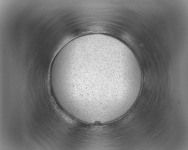 X0000062871378200601271545