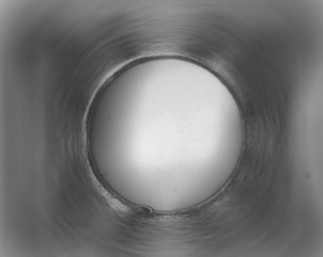 X0000062871380200601271545