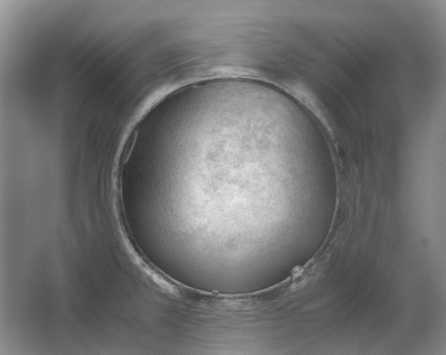 X0000062871381200601271545