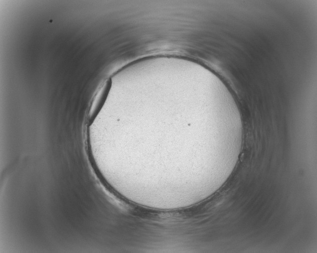 X0000062871383200601271544