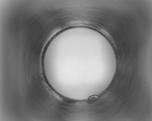 X0000062871384200601271544