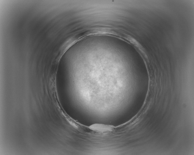 X0000062871385200601271544