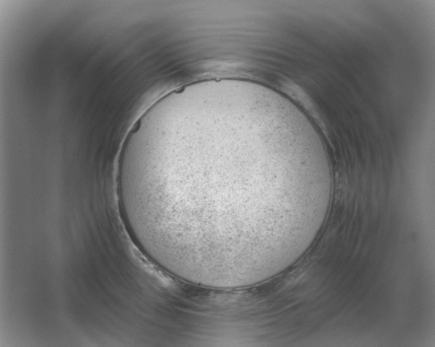 X0000062871386200601271544