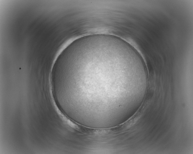 X0000062871389200601271544