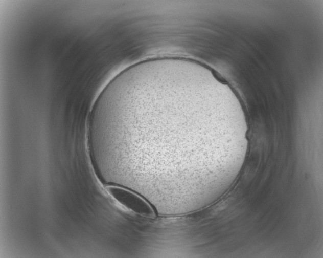 X0000062871390200601271544