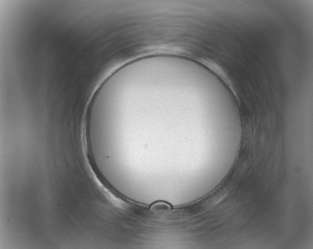 X0000062871391200601271544