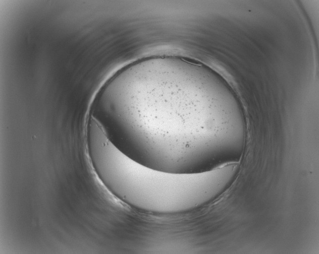 X0000062871392200601271544