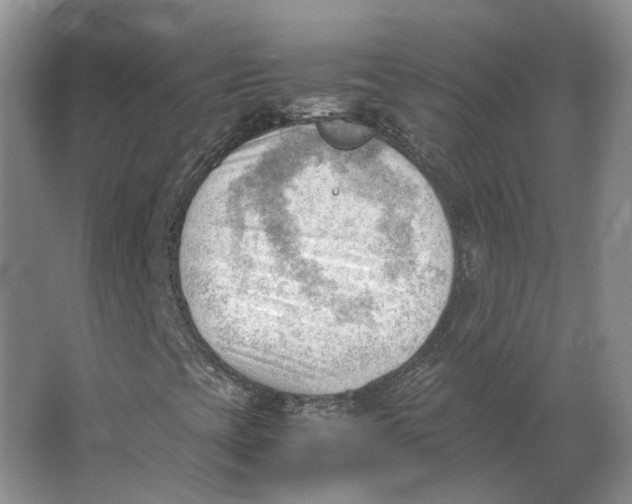 X0000062871393200601271544