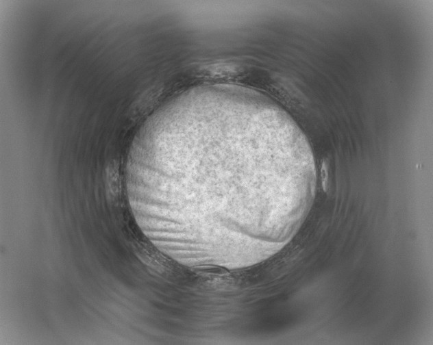 X0000062871395200601271544