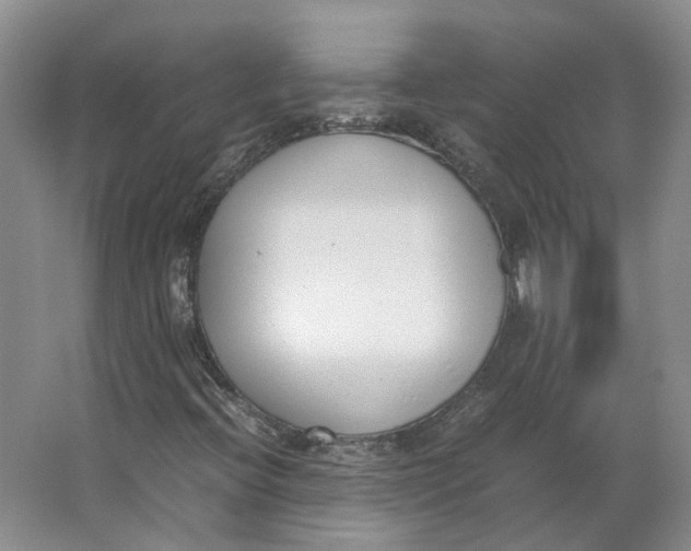 X0000062871396200601271544