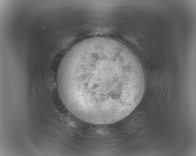 X0000062871399200601271544