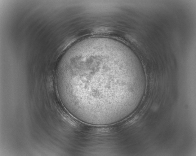 X0000062871401200601271544