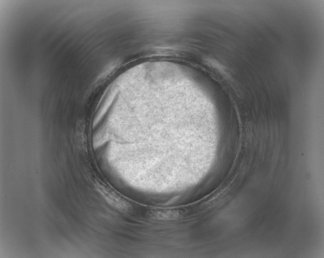 X0000062871403200601271544