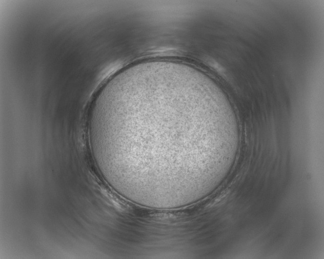 X0000062871405200601271544