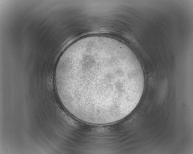 X0000062871409200601271544