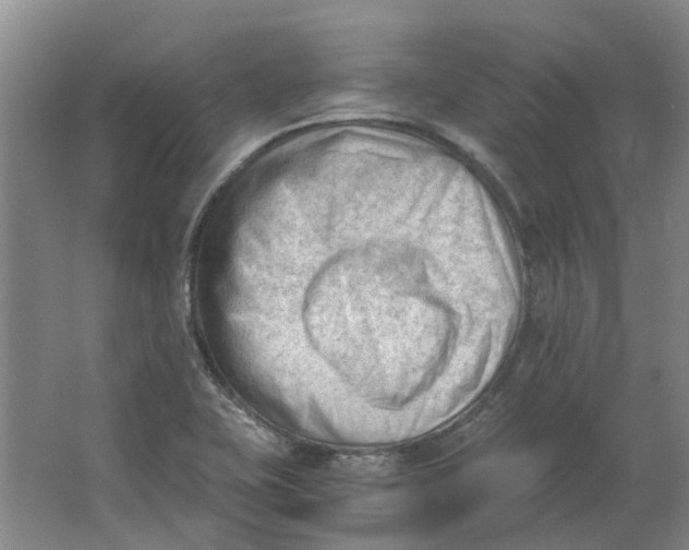 X0000062871415200601271544