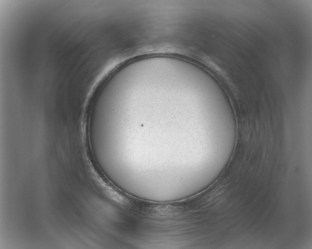 X0000062871416200601271544