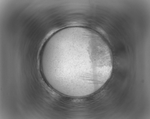 X0000062871419200601271544