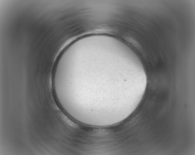 X0000062871420200601271544