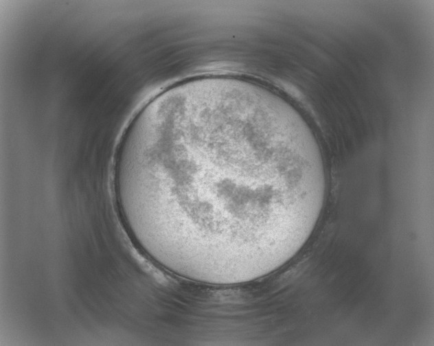 X0000062871421200601271544