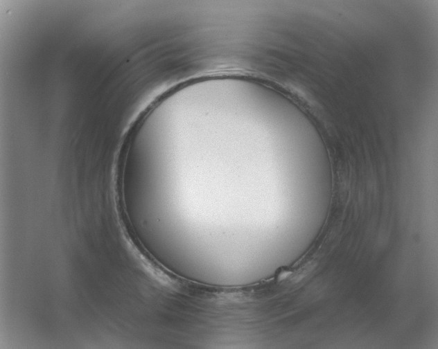 X0000062871422200601271544