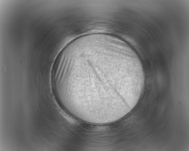 X0000062871423200601271544